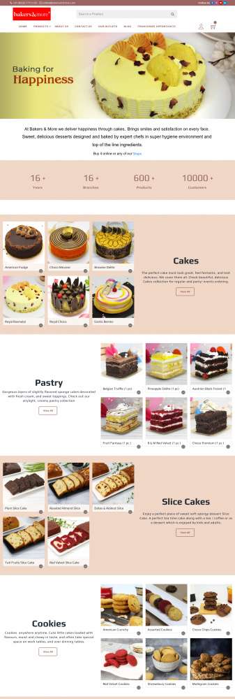 Website Home Page 
