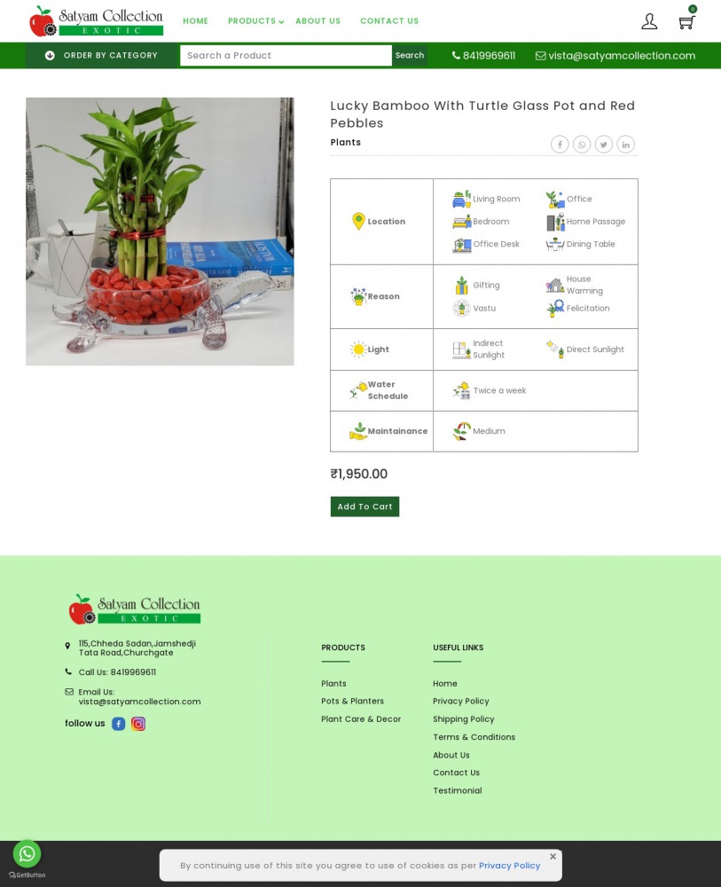 Website Product Page 