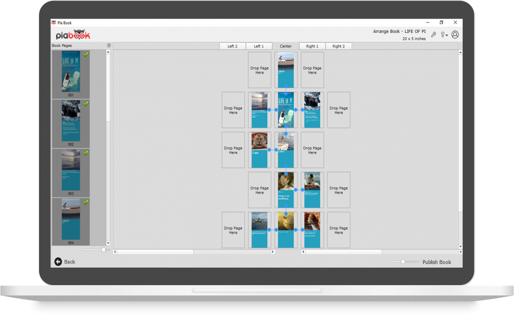 Book Designing Software Development